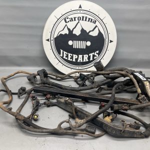 4.0 Manual Trans Engine Injector Wiring Harness OEM 04-04 Jeep Wrangler TJ/LJ
